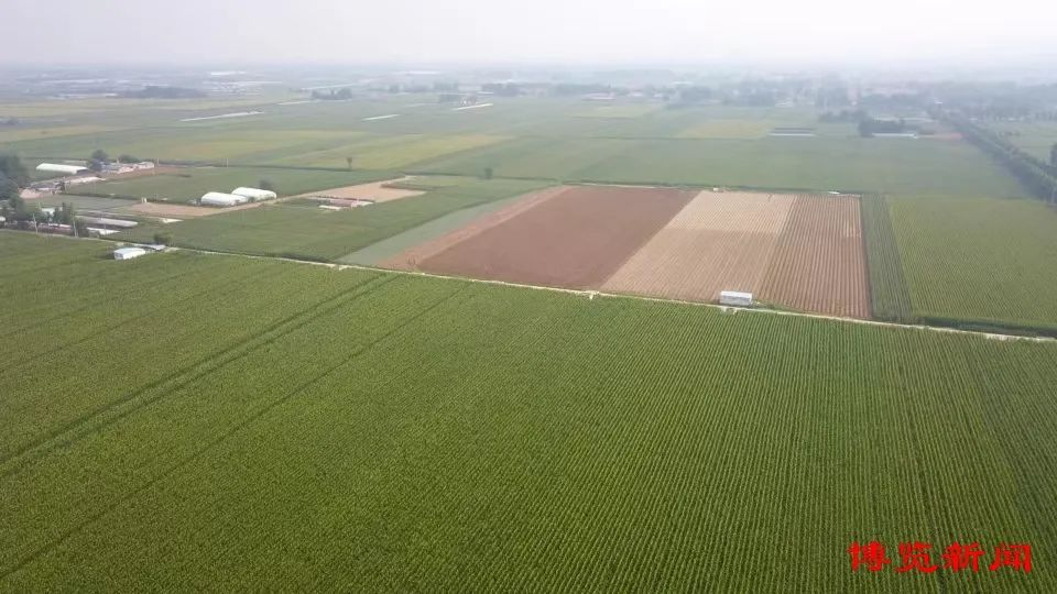 849ef56c7fb8dba009da8766cea0b3ab_733.jpg 849ef56c7fb8dba009da8766cea0b3ab_733.jpg