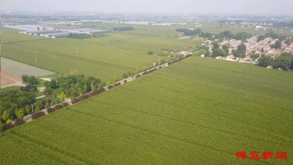 dcd097a092b34405a2346ac6df0c0cb9_730.jpg dcd097a092b34405a2346ac6df0c0cb9_730.jpg