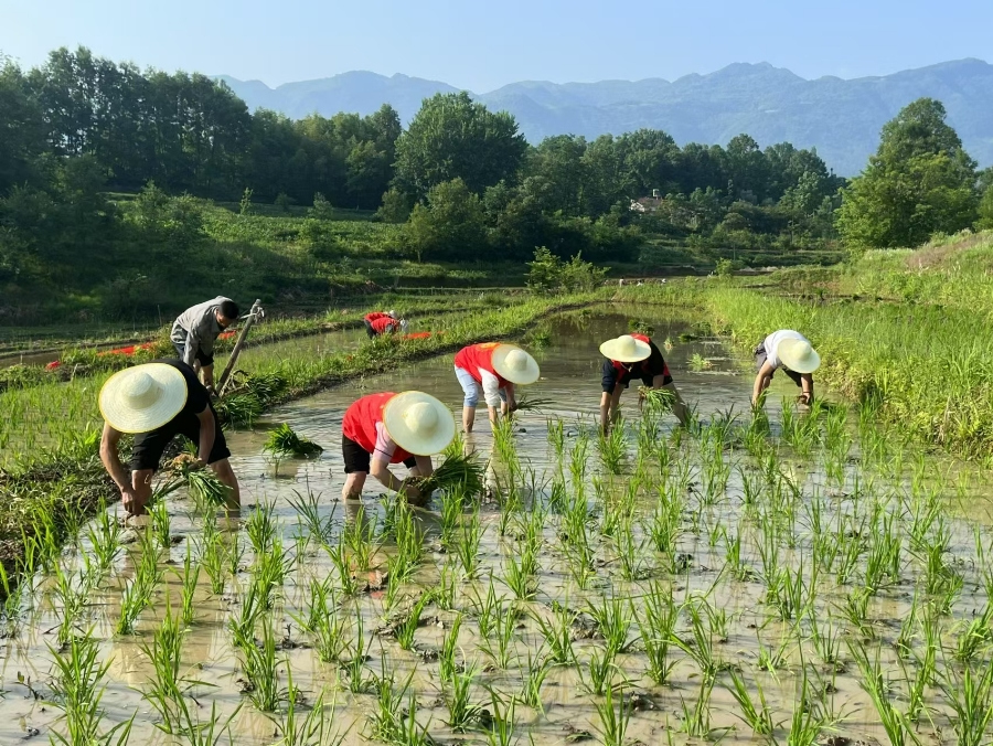 微信截圖_20240524145404.jpg 微信截圖_20240524145404.jpg