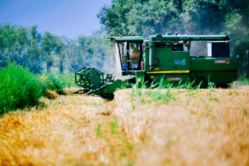 9896676a9233560afbfc6a86c4967ffa_d18ed9d6-c3f6-4c5c-90e5-a4ddd95b01a9_time=1720512383594245.jpg 9896676a9233560afbfc6a86c4967ffa_d18ed9d6-c3f6-4c5c-90e5-a4ddd95b01a9_time=1720512383594245.jpg