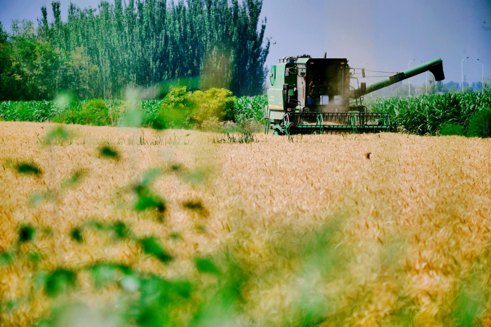 5377bc9bc88f20d9db3f0bbb418df3a1_806dd444-8b82-4a46-bf5c-8fadf17caa63_time=1720512383594795.jpg 5377bc9bc88f20d9db3f0bbb418df3a1_806dd444-8b82-4a46-bf5c-8fadf17caa63_time=1720512383594795.jpg